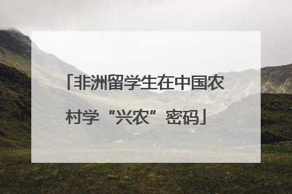非洲留学生在中国农村学“兴农”密码