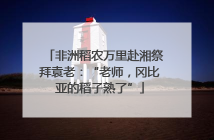 非洲稻农万里赴湘祭拜袁老：“老师，冈比亚的稻子熟了”