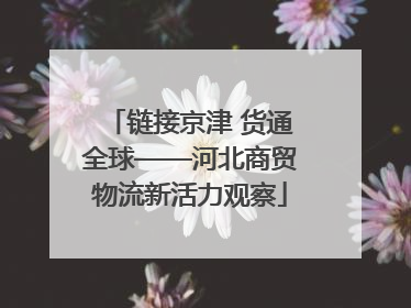 链接京津 货通全球——河北商贸物流新活力观察