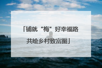 铺就“梅”好幸福路 共绘乡村致富图