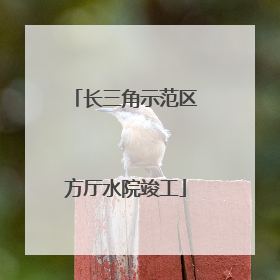 长三角示范区方厅水院竣工