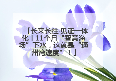 长来长往·见证一体化丨11个月“智慧渔场”下水，这就是“通州湾速度”！