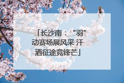 长沙南：“羽”动赛场展风采 汗洒征途竞锋芒