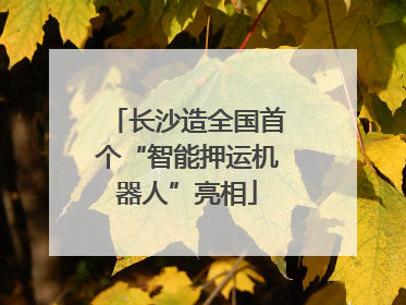 长沙造全国首个“智能押运机器人”亮相