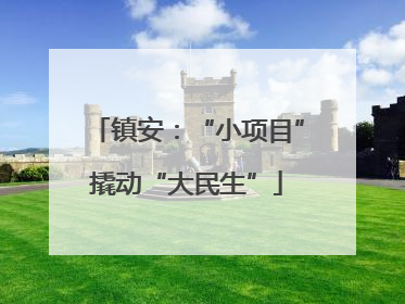 镇安：“小项目”撬动“大民生”