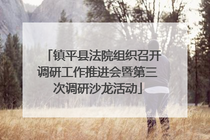 镇平县法院组织召开调研工作推进会暨第三次调研沙龙活动