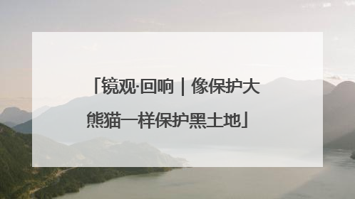 镜观·回响｜像保护大熊猫一样保护黑土地