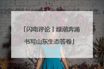 闪电评论丨绿潮奔涌 书写山东生态答卷