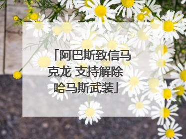 阿巴斯致信马克龙 支持解除哈马斯武装
