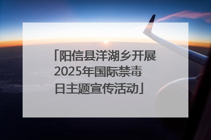 阳信县洋湖乡开展2025年国际禁毒日主题宣传活动
