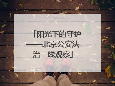 阳光下的守护——北京公安法治一线观察