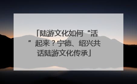陆游文化如何“活 ”起来？宁德、绍兴共话陆游文化传承