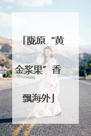 陇原“黄金浆果”香飘海外
