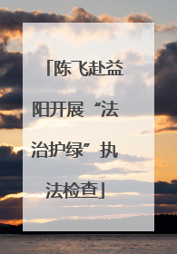 陈飞赴益阳开展“法治护绿”执法检查