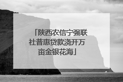 陕西农信宁强联社普惠贷款浇开万亩金银花海