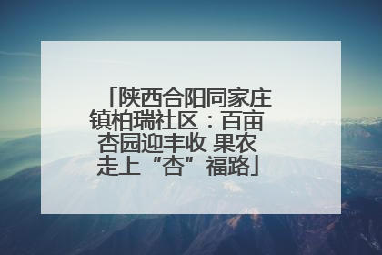 陕西合阳同家庄镇柏瑞社区：百亩杏园迎丰收 果农走上“杏”福路