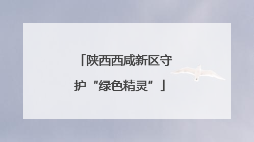 陕西西咸新区守护“绿色精灵”