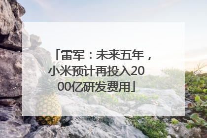 雷军：未来五年，小米预计再投入2000亿研发费用