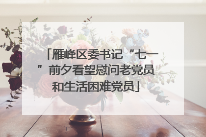 雁峰区委书记“七一”前夕看望慰问老党员和生活困难党员