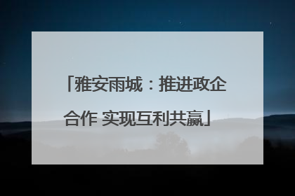 雅安雨城：推进政企合作 实现互利共赢