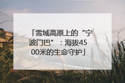 雪域高原上的“宁波门巴”：海拔4500米的生命守护