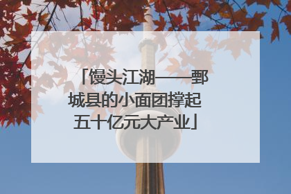 馒头江湖——鄄城县的小面团撑起五十亿元大产业