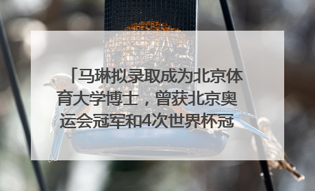 马琳拟录取成为北京体育大学博士，曾获北京奥运会冠军和4次世界杯冠军，张继科：他是神