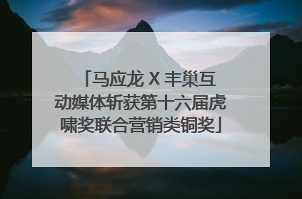 马应龙 X 丰巢互动媒体斩获第十六届虎啸奖联合营销类铜奖