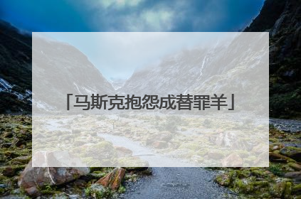 马斯克抱怨成替罪羊