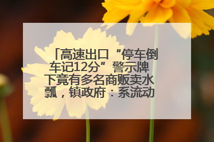 高速出口“停车倒车记12分”警示牌下竟有多名商贩卖水瓢，镇政府：系流动摊位，已多次劝离