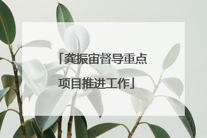 龚振宙督导重点项目推进工作