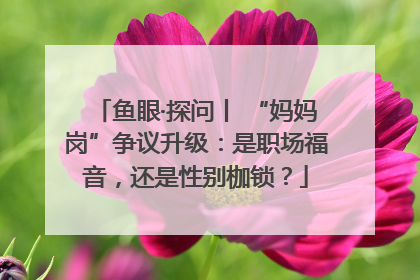 鱼眼·探问丨 “妈妈岗”争议升级：是职场福音，还是性别枷锁？