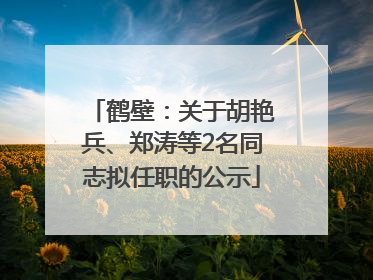 鹤壁：关于胡艳兵、郑涛等2名同志拟任职的公示
