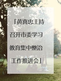 黄喜忠主持召开市委学习教育集中整治工作推进会