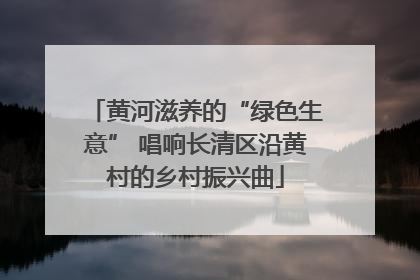黄河滋养的“绿色生意” 唱响长清区沿黄村的乡村振兴曲