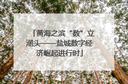 黄海之滨“数”立潮头——盐城数字经济崛起进行时