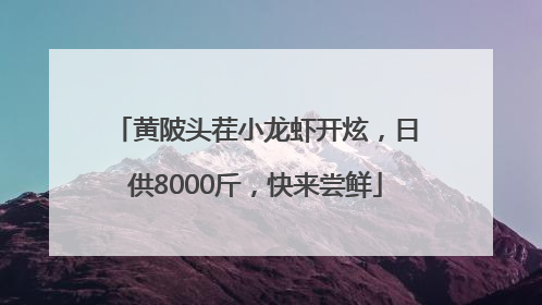 黄陂头茬小龙虾开炫，日供8000斤，快来尝鲜