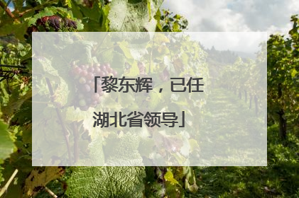 黎东辉，已任湖北省领导