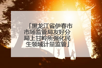 黑龙江省伊春市市场监管局友好分局上甘岭所强化民生领域计量监管