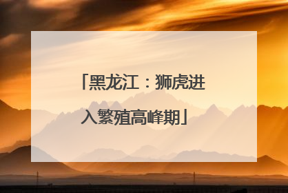 黑龙江：狮虎进入繁殖高峰期