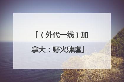（外代一线）加拿大：野火肆虐