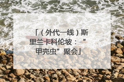 （外代一线）斯里兰卡科伦坡：“甲壳虫”聚会