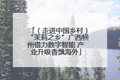 （走进中国乡村）“茉莉之乡”广西横州借力数字智能 产业升级香飘海外
