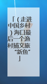 （走进中国乡村）海口最后一个渔村捕文旅“新鱼”