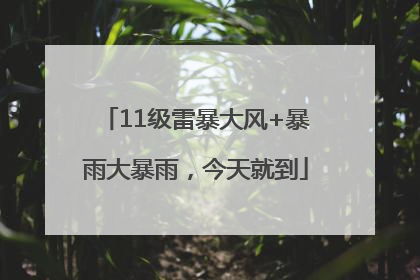 11级雷暴大风+暴雨大暴雨，今天就到