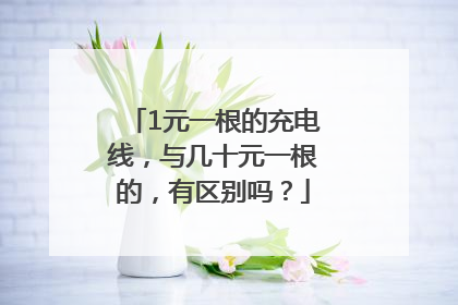 1元一根的充电线，与几十元一根的，有区别吗？