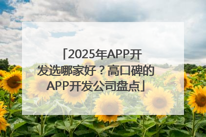 2025年APP开发选哪家好？高口碑的APP开发公司盘点