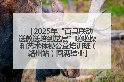 2025年“百县联动送教送培到基层”啦啦操和艺术体操公益培训班（赣州站）圆满结业