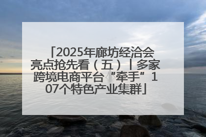 2025年廊坊经洽会亮点抢先看（五）丨多家跨境电商平台“牵手”107个特色产业集群
