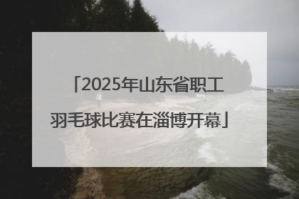 2025年山东省职工羽毛球比赛在淄博开幕